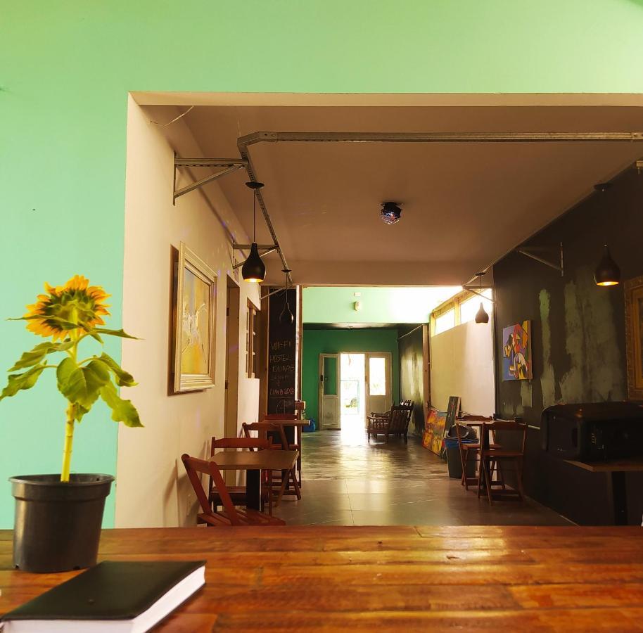 Hostel Dunas Do Santinho フロリアノポリス エクステリア 写真